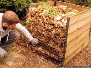 Compost: Un remède pour la planète